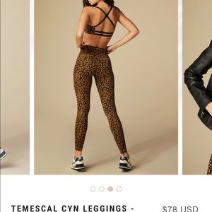 Temescal leopard leggings never worn with tags